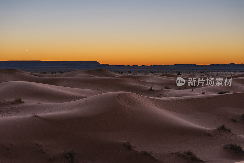 Erg Chebbi沙丘在日出，摩洛哥，非洲